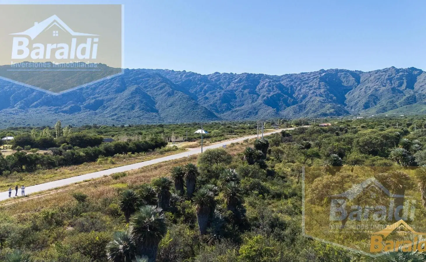 Lote Zorzales del Piscu Yaco 3
