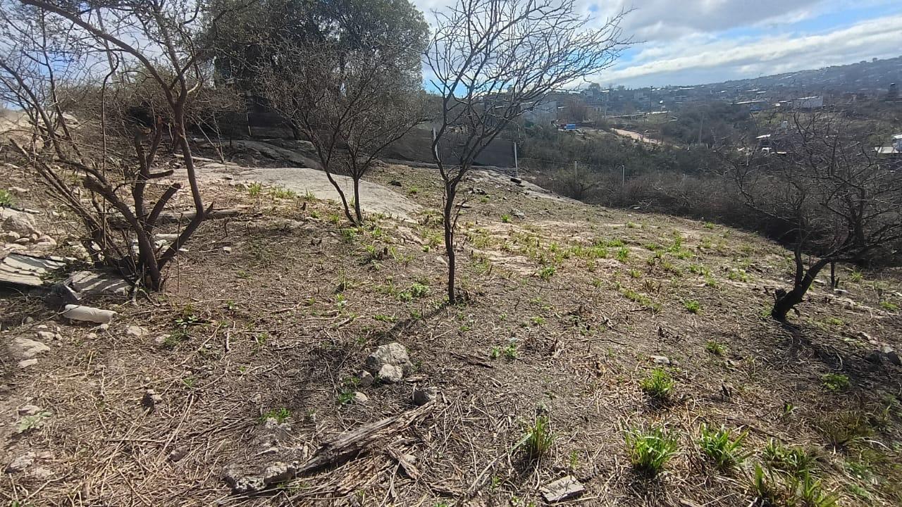 Foto de Terreno en Estancia Vieja, imagen 1