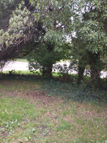 Foto de Casa 3 dormitorios en Bo. Alfar, imagen 3