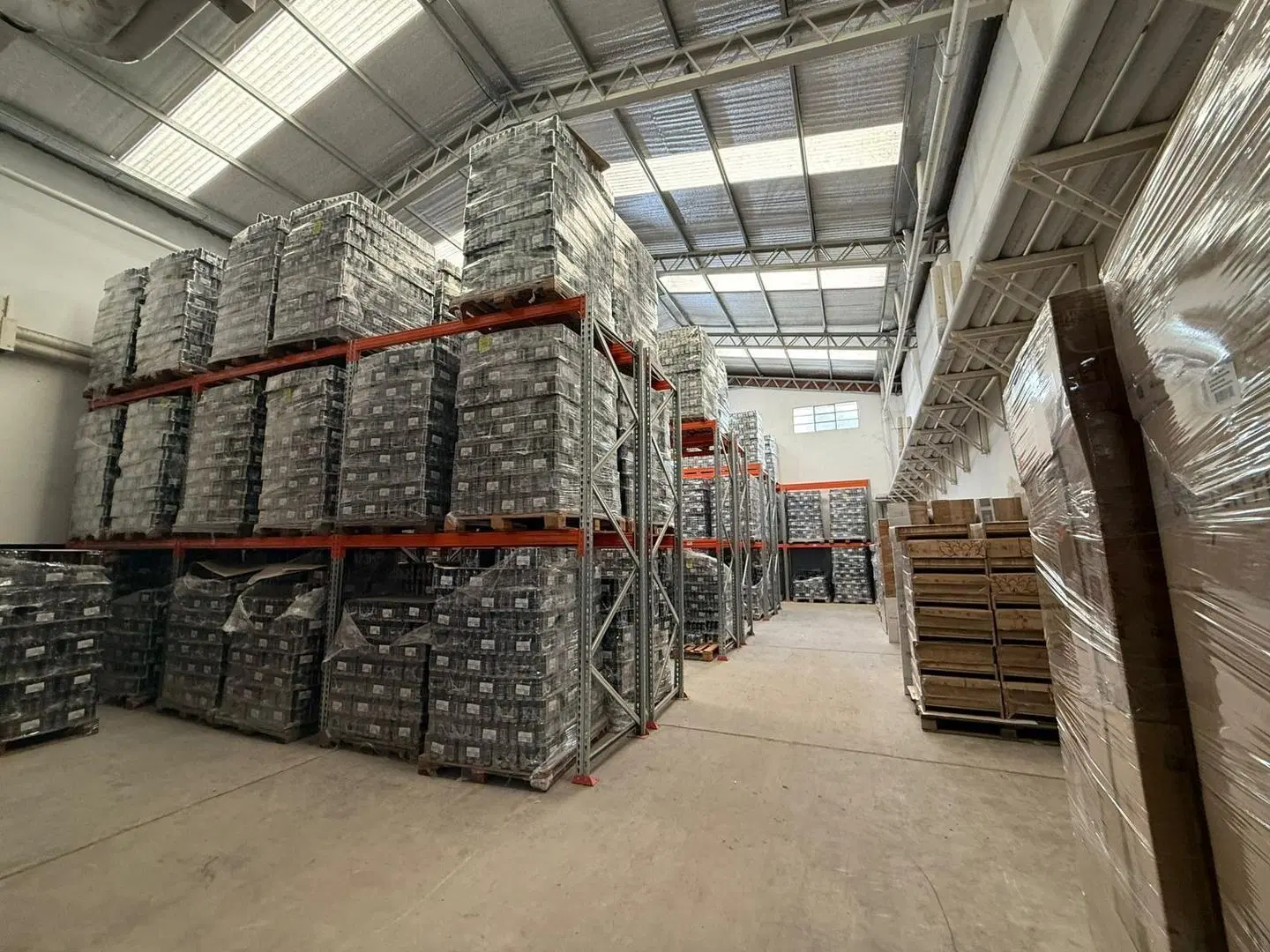 Galpón centro logístco de 7420 m2 en alquiler en ramos mejia 4