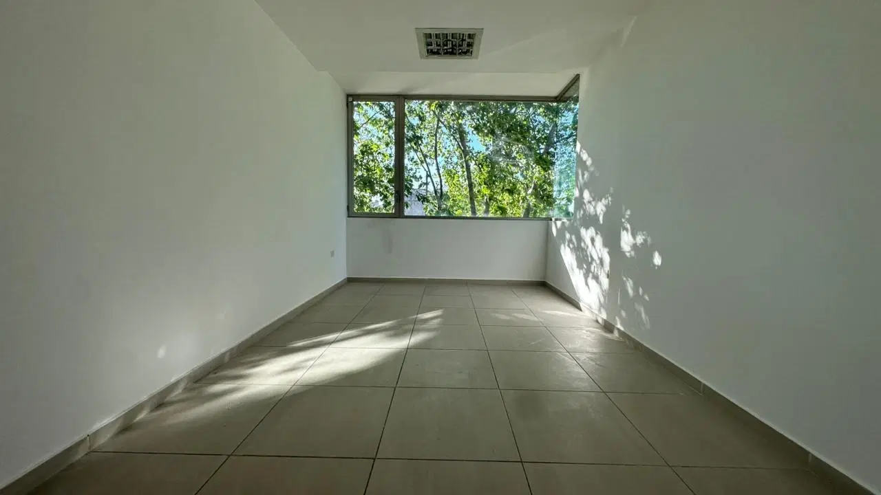 Oficinas en Adrogue 4