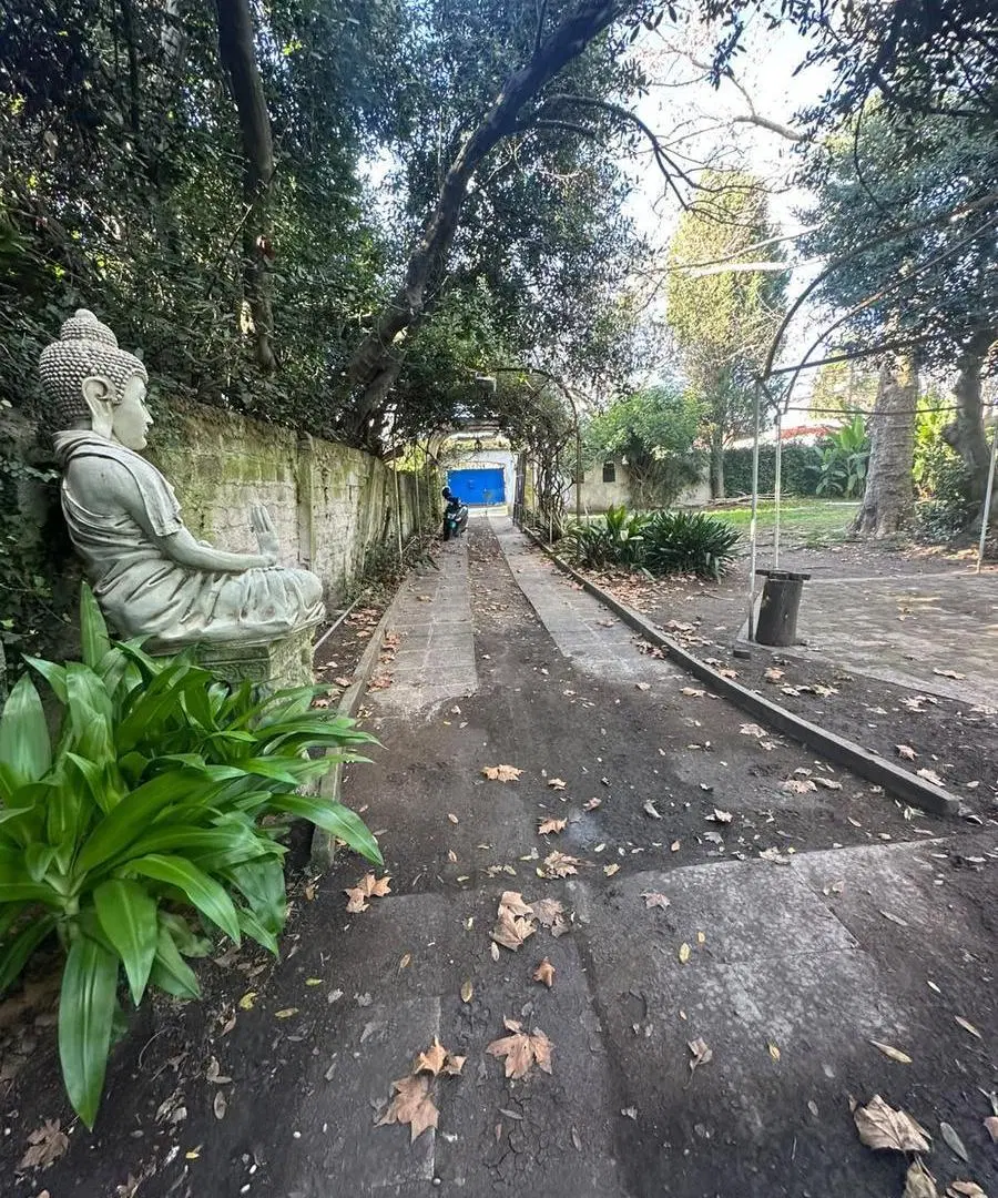Terreno en Jose Marmol 1