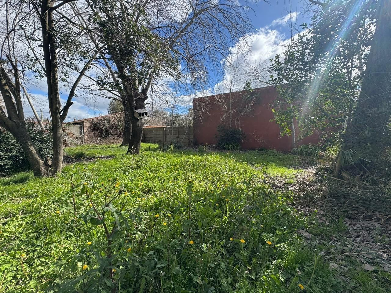 Foto de CASA CON GRAN PARQUE Y ESCRITURA, imagen 4