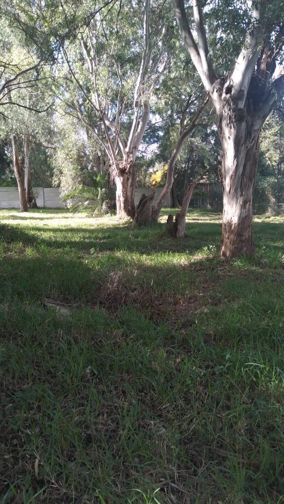 Foto de Terreno en Alejandro Korn, imagen 1