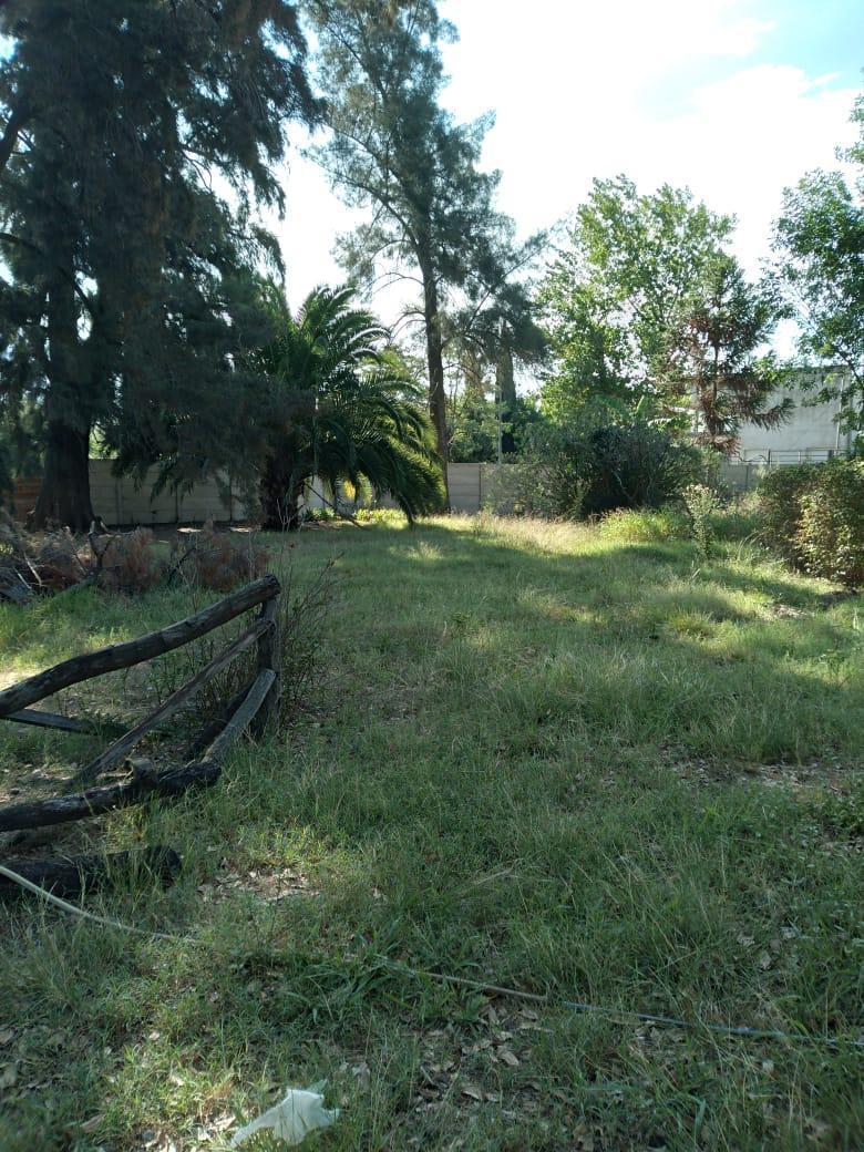 Foto de Terreno en Alejandro Korn, imagen 4