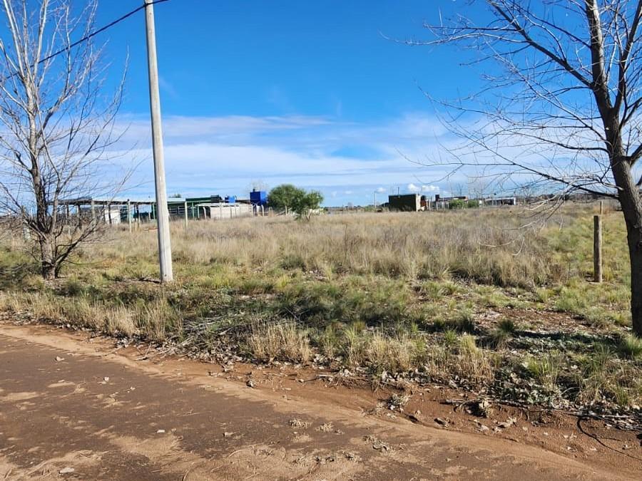 Foto de Terreno en Ataliva Roca, imagen 2