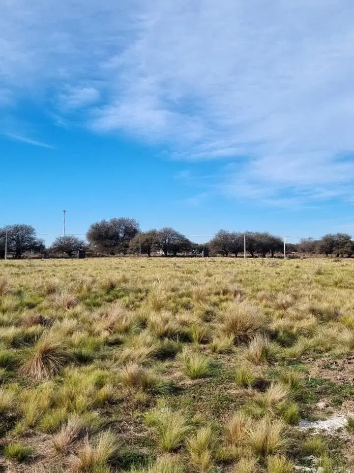 Terreno en Anguil 4