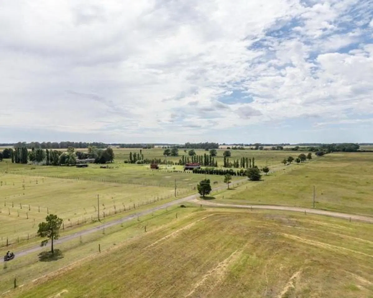 Terreno de 15000 m2 en venta en Carmen de Areco 2