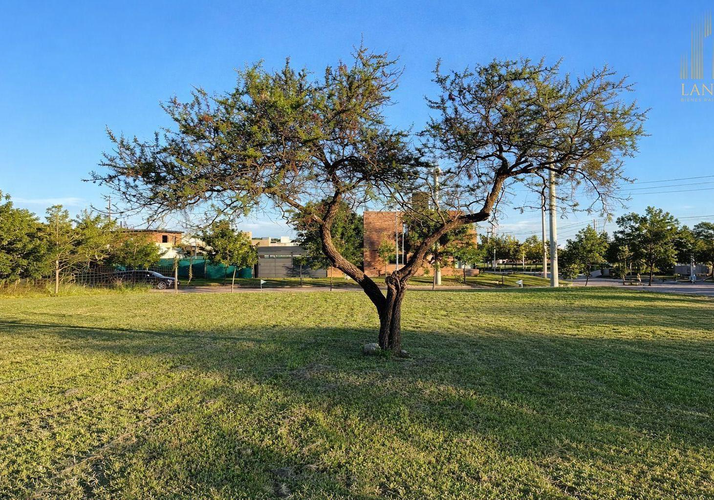 Terreno en Venta - Tejas 4