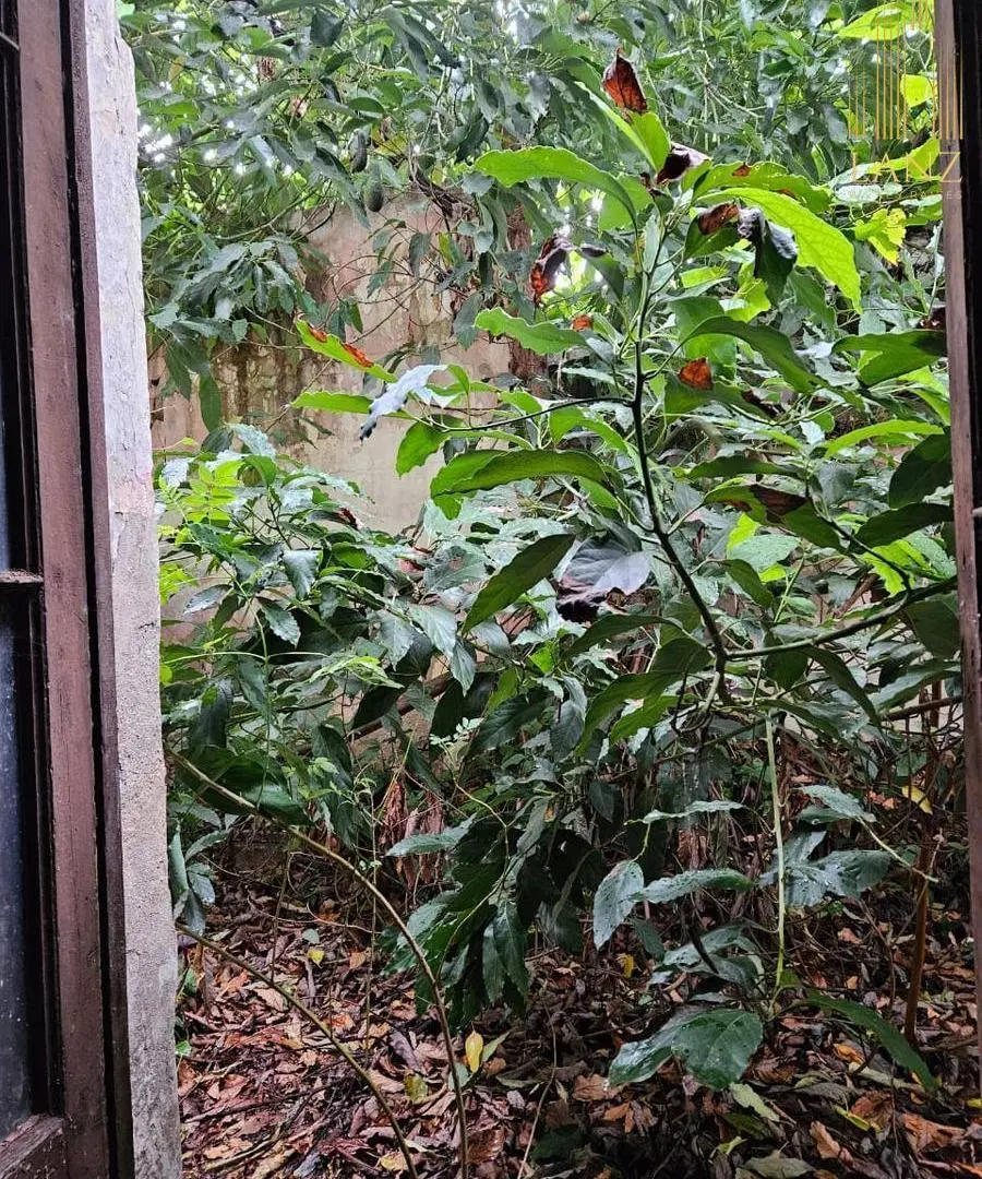 Lote apto desarrollo en Venta - sobre Avenida Colon Centro 5