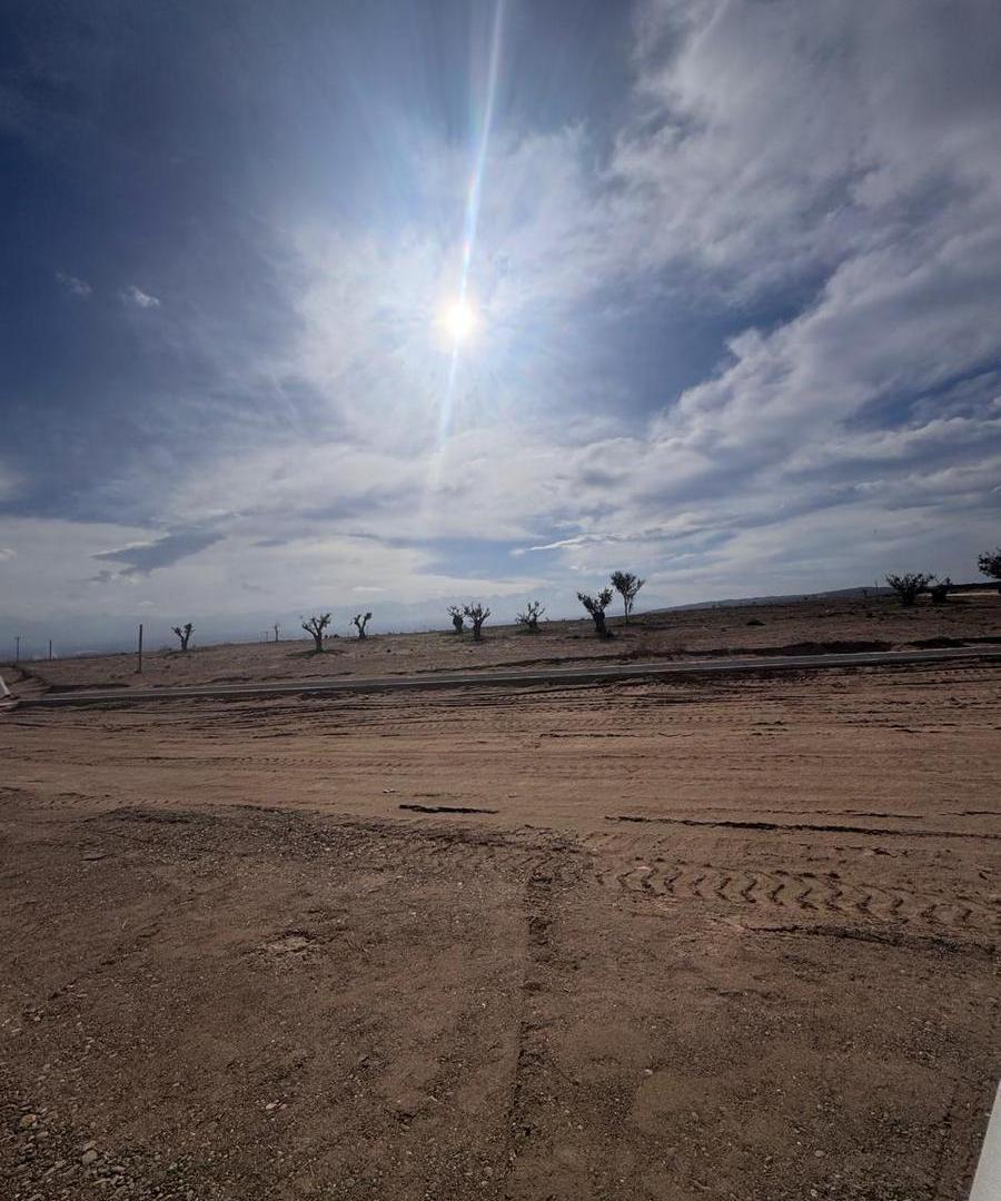 Foto de FINCA en Valle de Uco 25 Hectáreas Ideal inversión/desarrollo, imagen 2