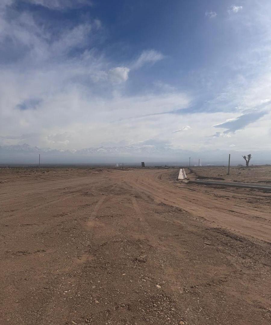Foto de FINCA en Valle de Uco 25 Hectáreas Ideal inversión/desarrollo, imagen 5