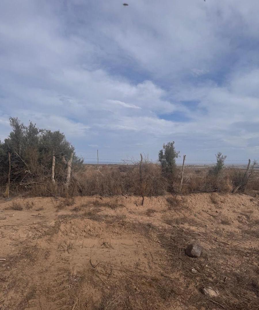 Foto de FINCA en Valle de Uco 25 Hectáreas Ideal inversión/desarrollo, imagen 1