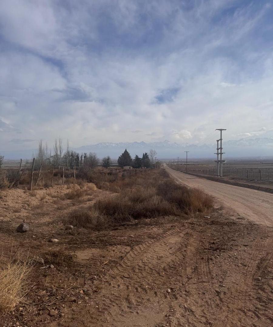 Foto de FINCA en Valle de Uco 25 Hectáreas Ideal inversión/desarrollo, imagen 4