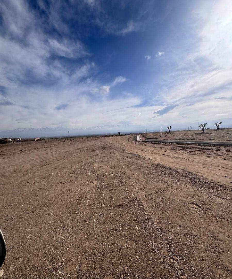 Foto de FINCA en Valle de Uco 25 Hectáreas Ideal inversión/desarrollo, imagen 3