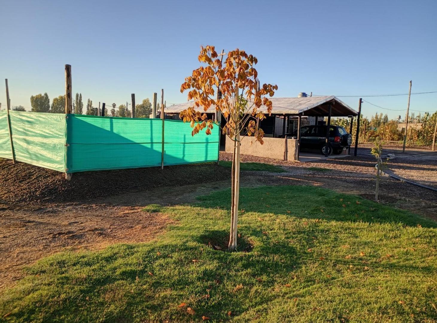 Foto de Venta de Terreno Quincho con pileta, imagen 4