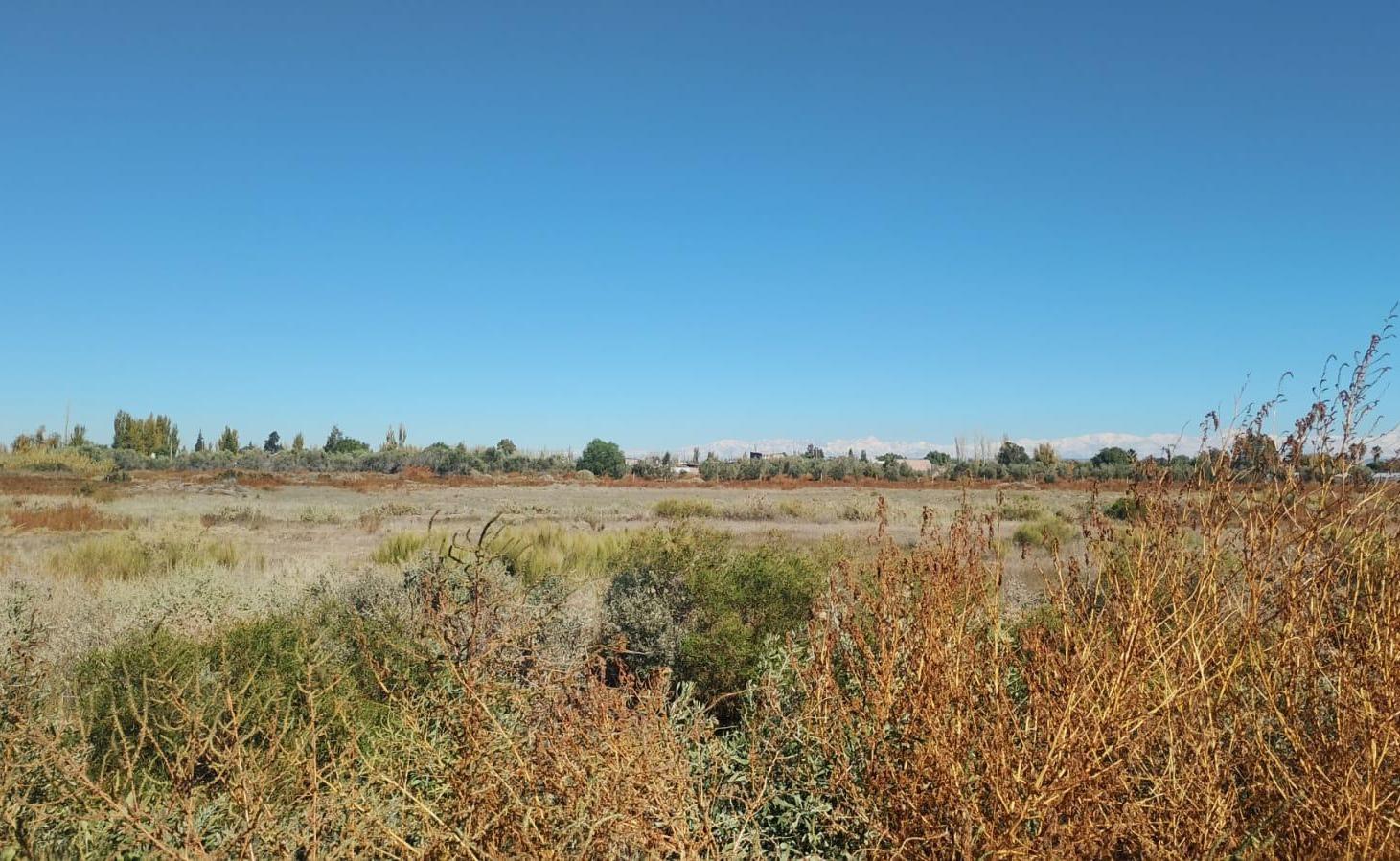 Foto de Terreno en Venta, imagen 3