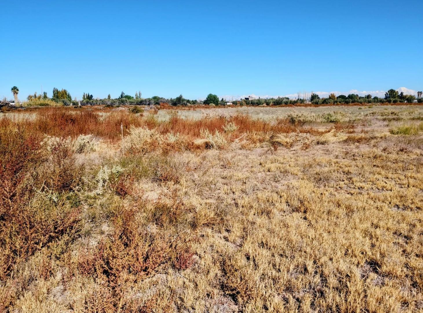 Foto de Terreno en Venta, imagen 5