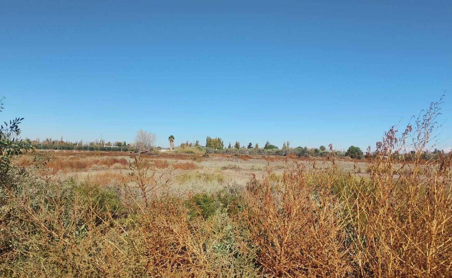Foto de Terreno en Venta, imagen 5
