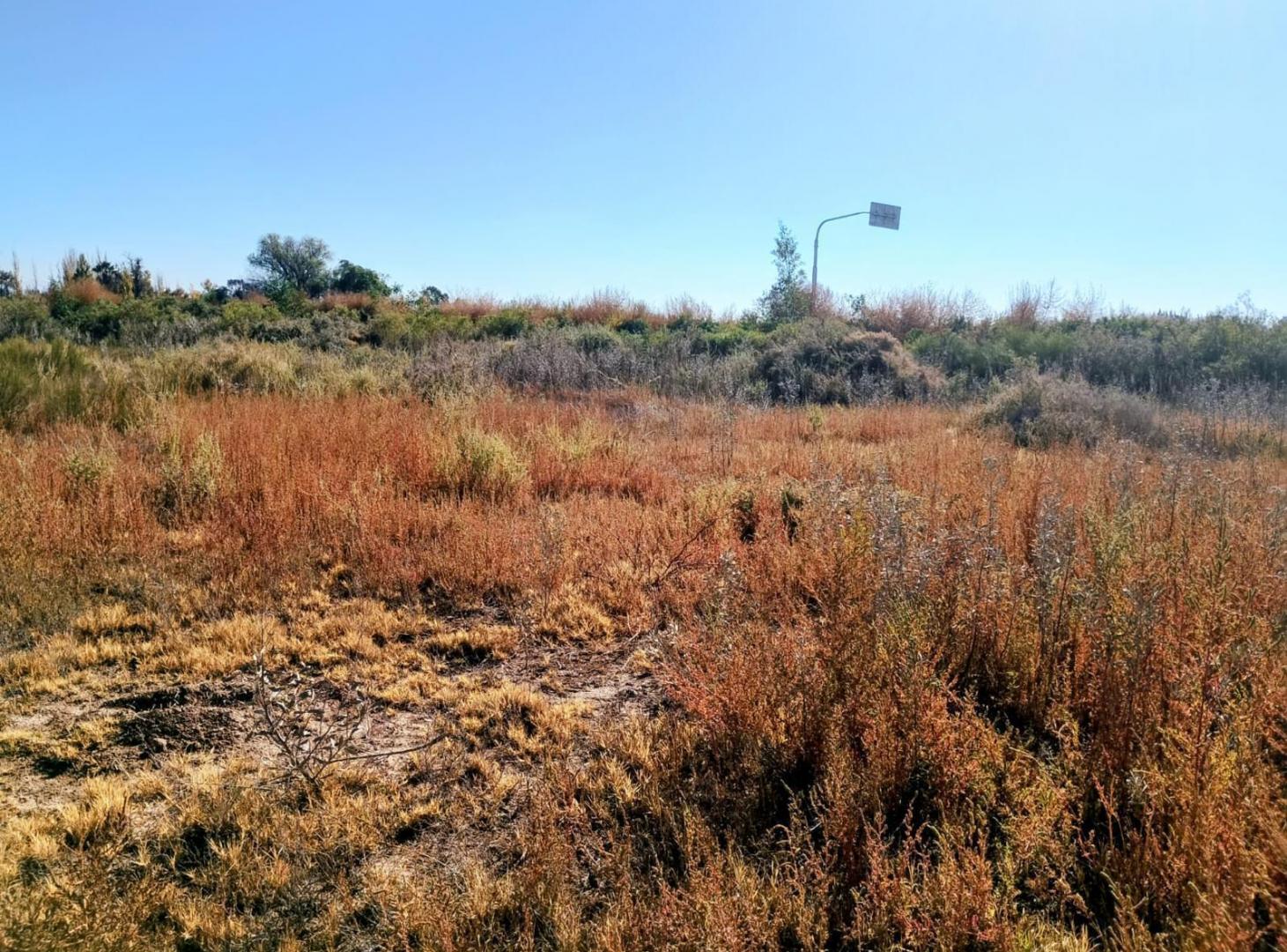 Foto de Terreno en Venta, imagen 3