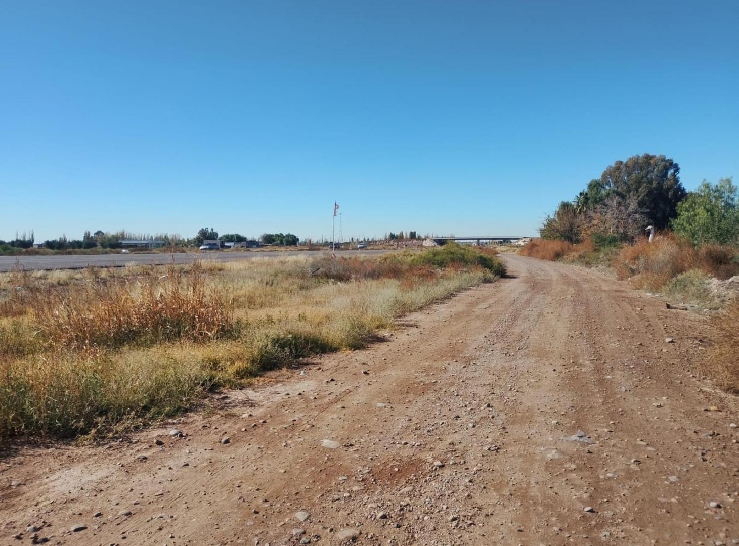 Foto de Terreno en Venta, imagen 4