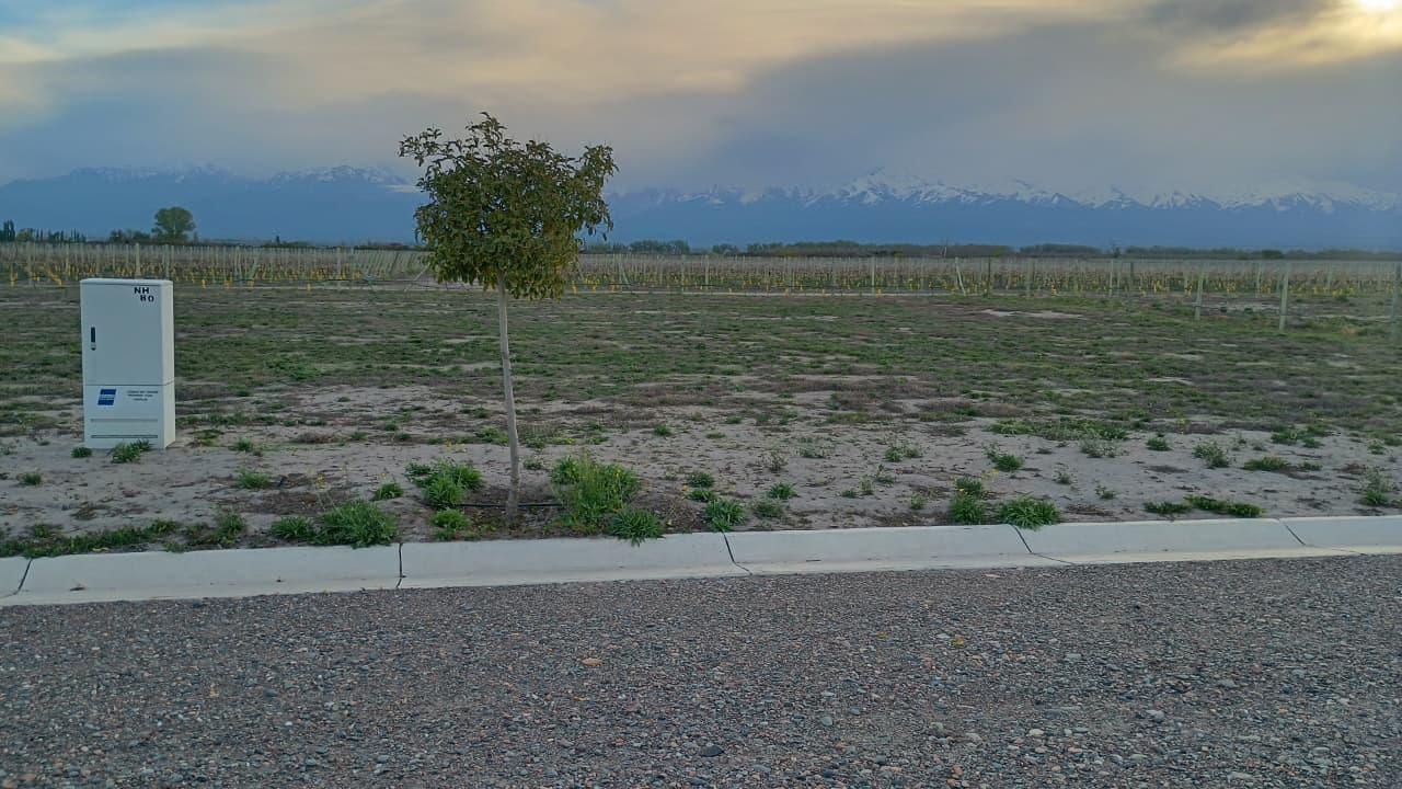 Foto de Terreno en Arboleda, imagen 3