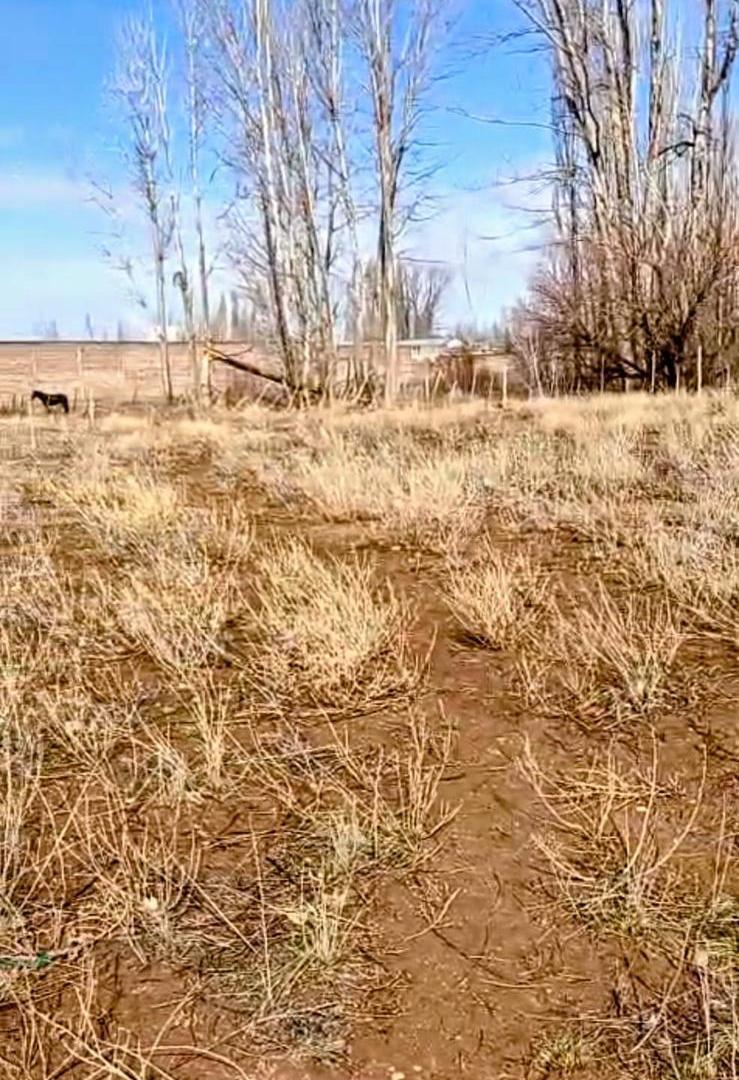 Foto de Terreno en Venta en Malargue, imagen 2