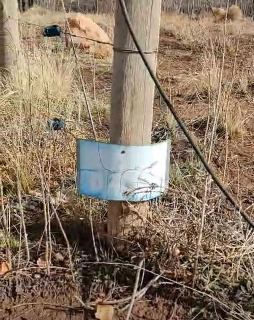 Foto de Terreno en Venta en Malargue, imagen 4