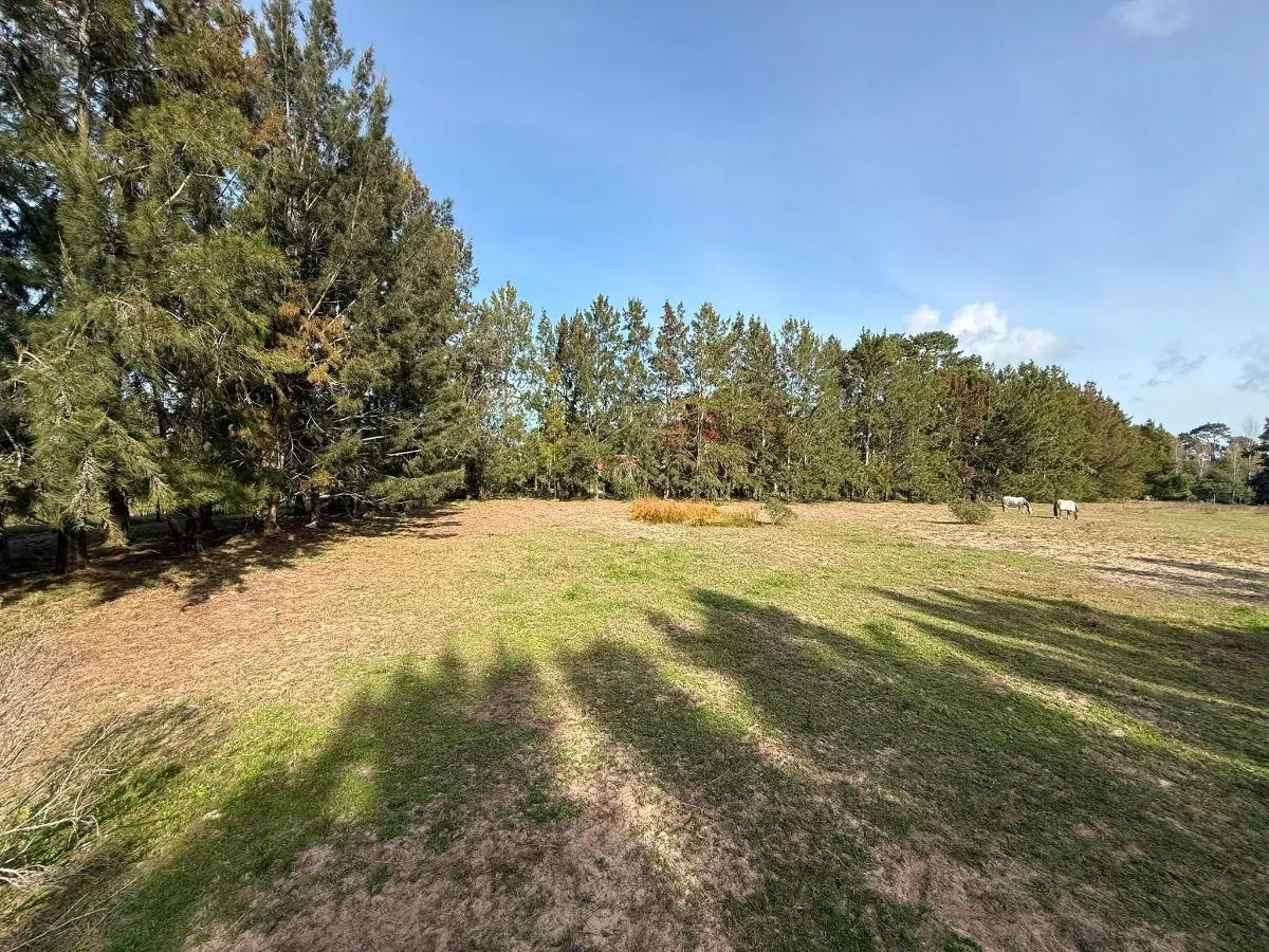 Venta de Lotes en Punta del Este 4