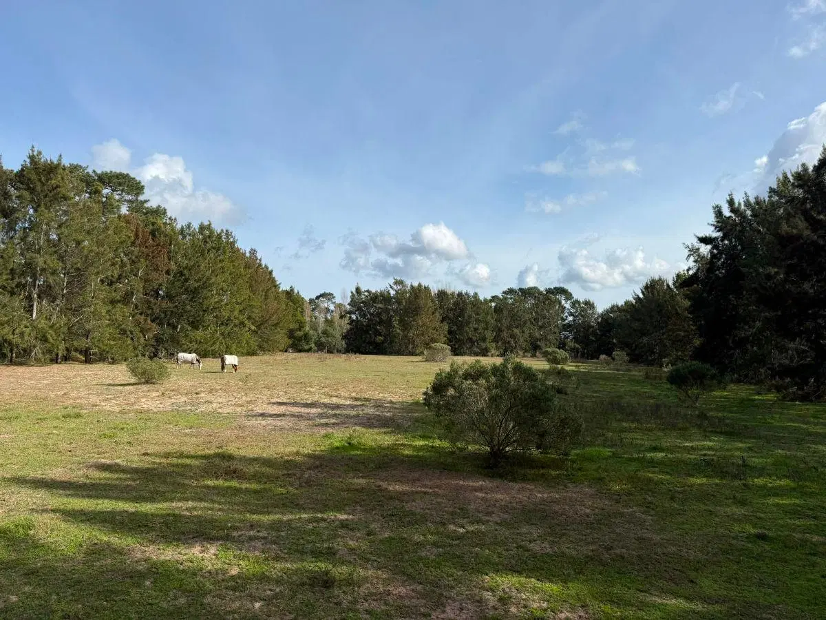 Venta de Lotes en Punta del Este 3