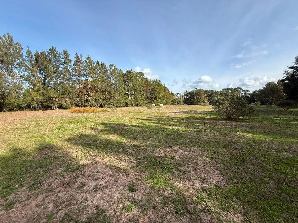 Venta de Lotes en Punta del Este 1