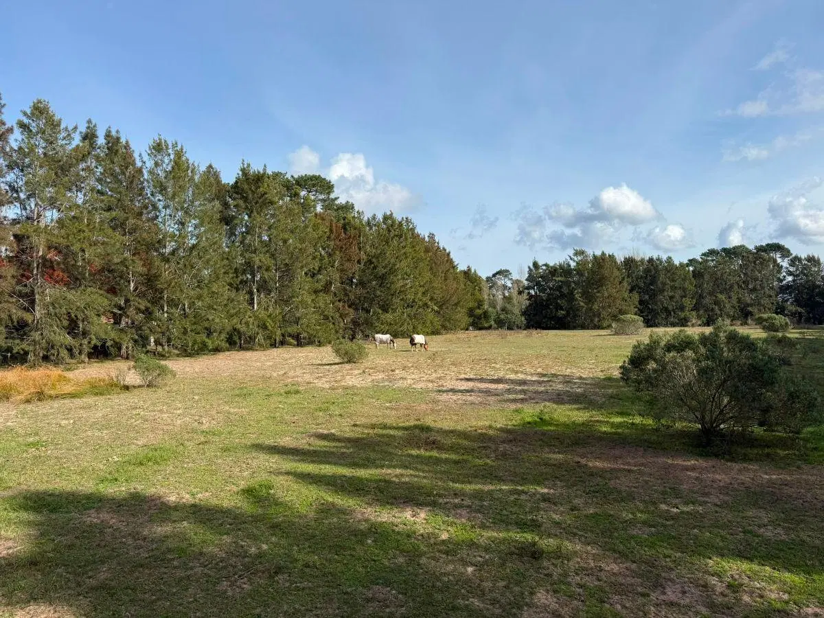 Venta de Lotes en Punta del Este 5