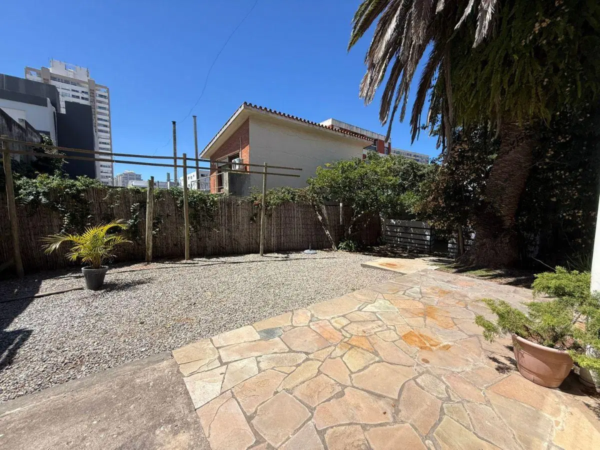 Local Comercial en Alquiler, Calle 20, Punta del Este 2