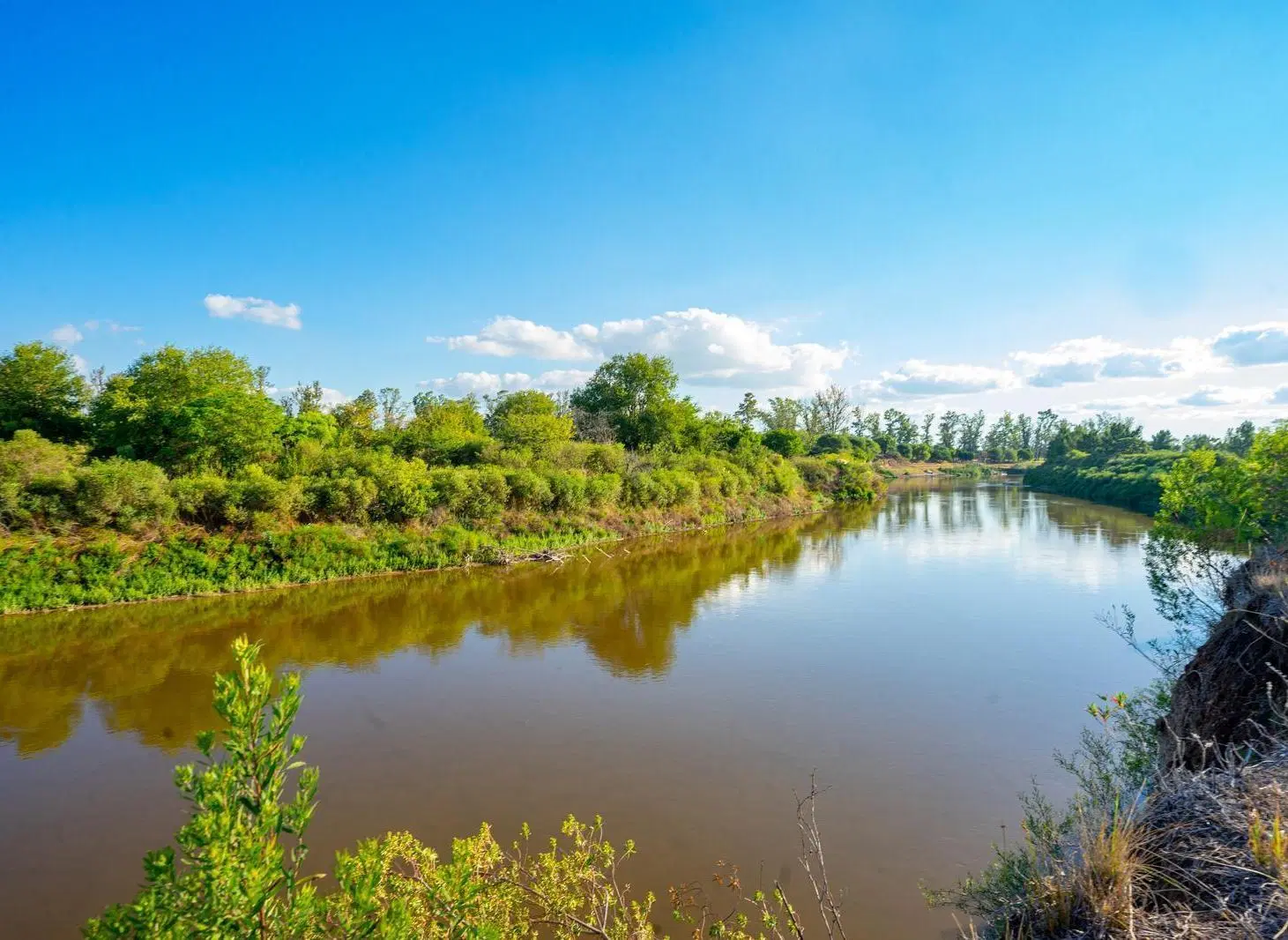 Exclusivo Lote al Río Carcarañá con Bosque de Pinos – Barrio Cerrado Casas de Campo 2