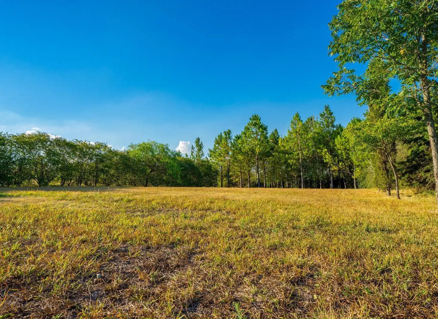 Exclusivo Lote al Río Carcarañá con Bosque de Pinos – Barrio Cerrado Casas de Campo 5