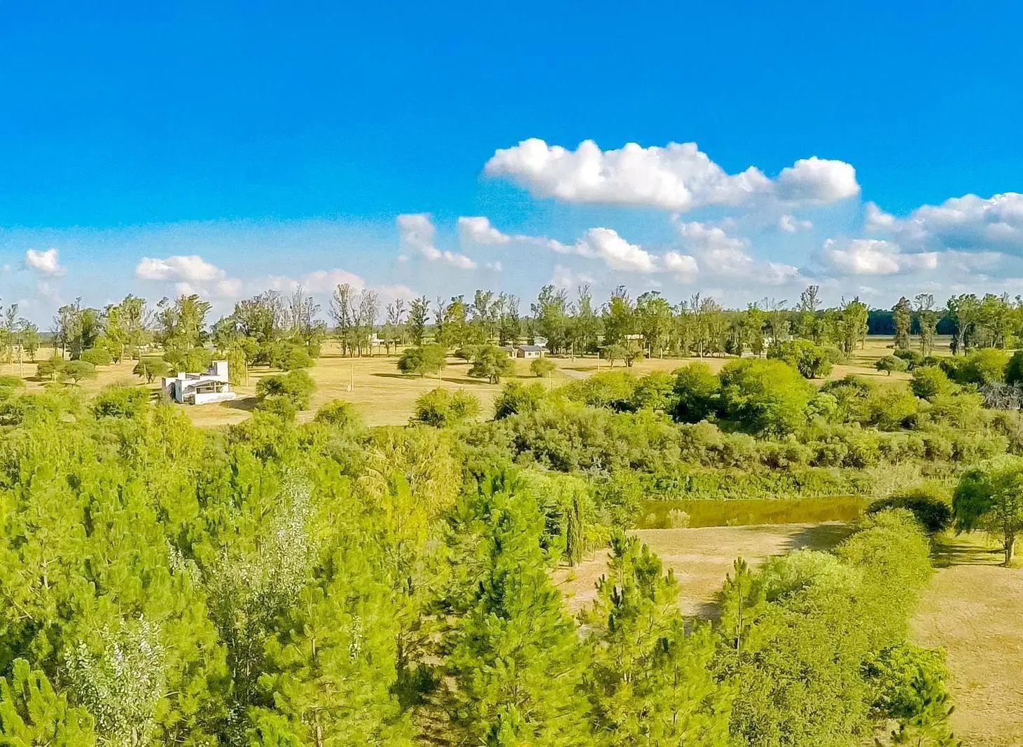 Exclusivo Lote al Río Carcarañá con Bosque de Pinos – Barrio Cerrado Casas de Campo 4