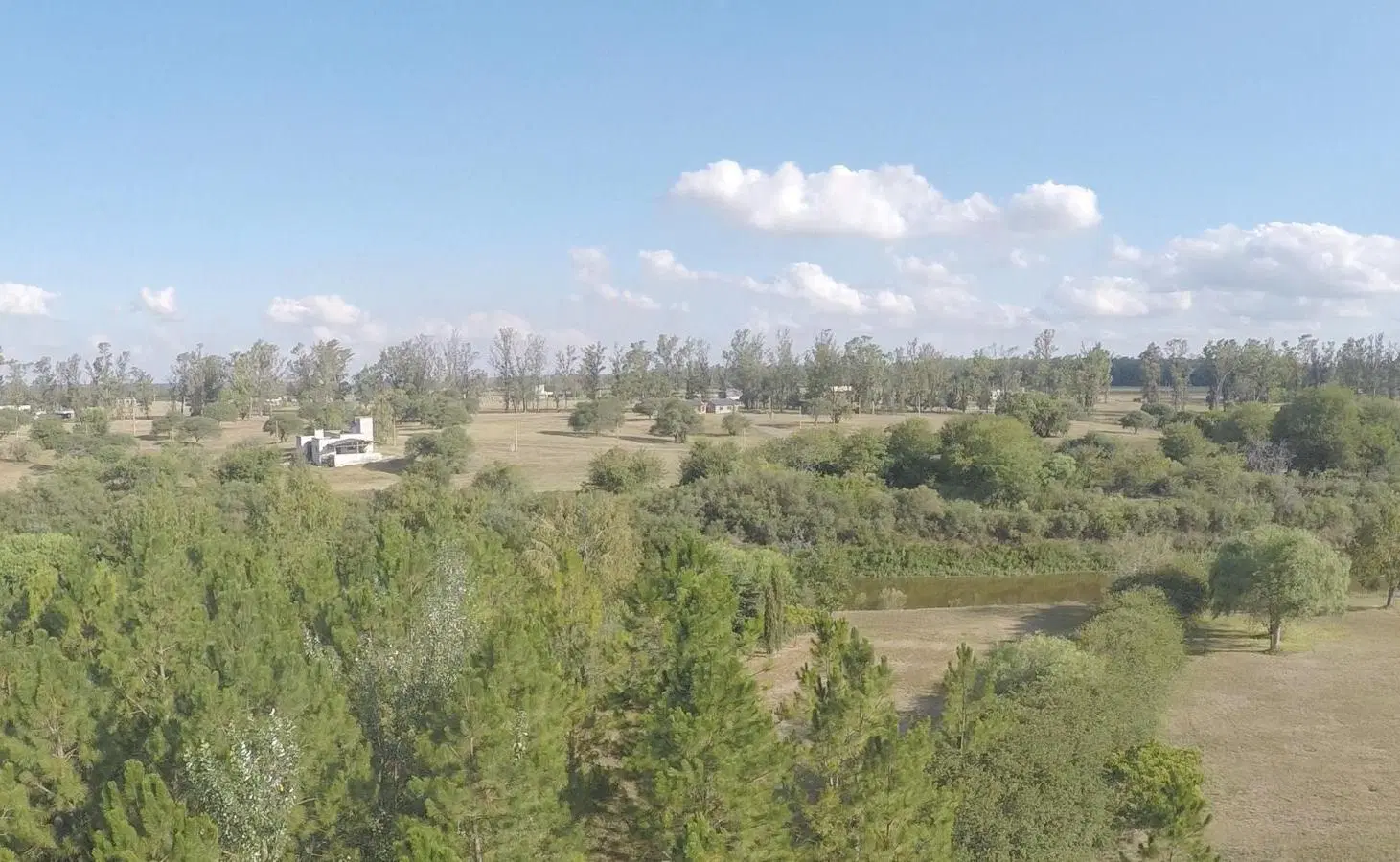 Exclusivo Lote al Río Carcarañá con Bosque de Pinos – Barrio Cerrado Casas de Campo 8