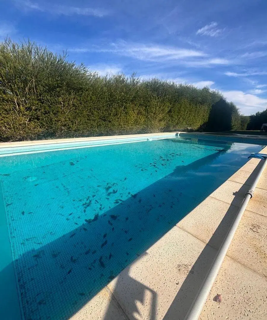 Venta Casa 5 amb.c/ piscina San Sebastian ( Pilar) 2