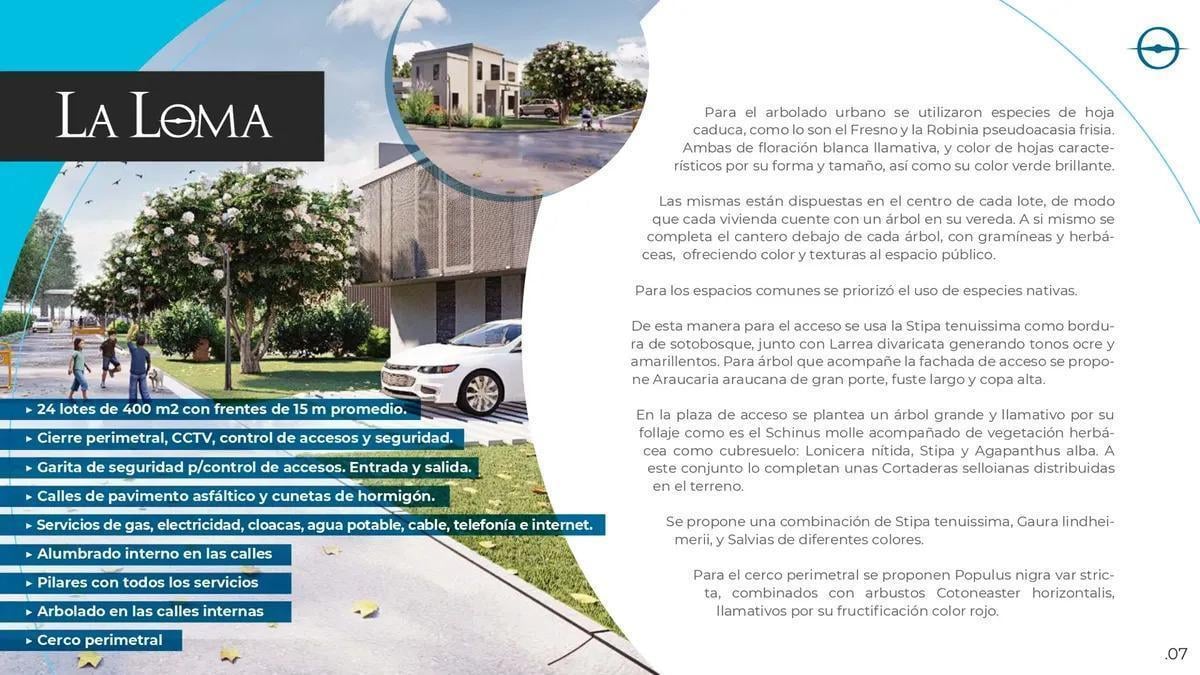 Foto de Terreno en Bella Vista, imagen 1