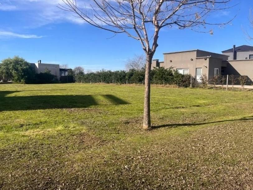 Foto de Terreno en Haras Santa Maria, imagen 5