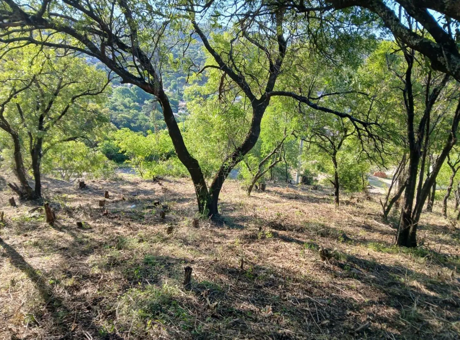 Oportunidad en Rio Ceballos, lote de 770 metros en Estancia San Isidro 3