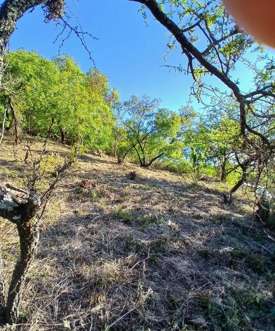 Oportunidad en Rio Ceballos, lote de 770 metros en Estancia San Isidro 8