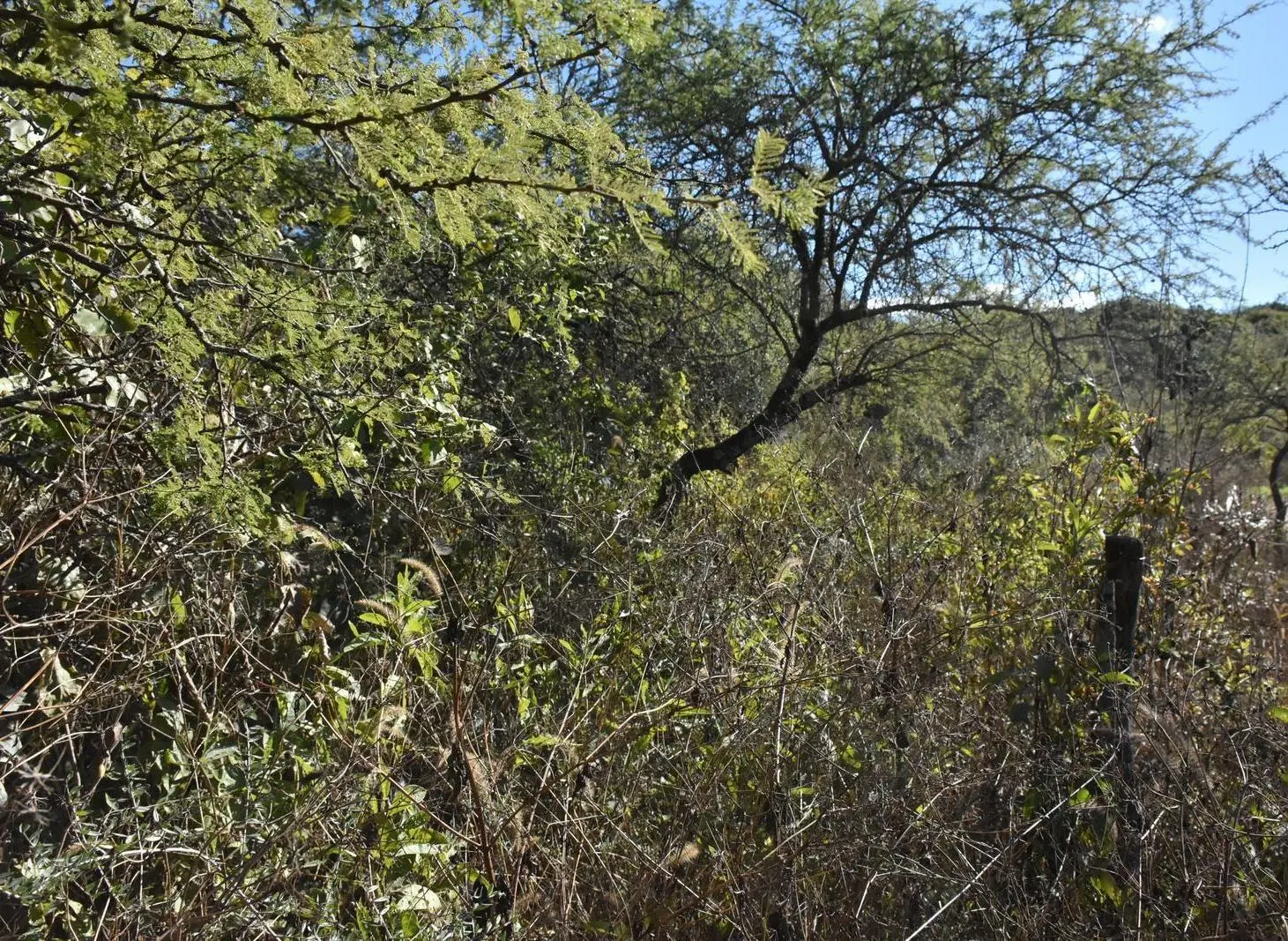 Lote esquina a la venta de 5000 metros en Los Molles, Sierras Chicas de Córdoba 1