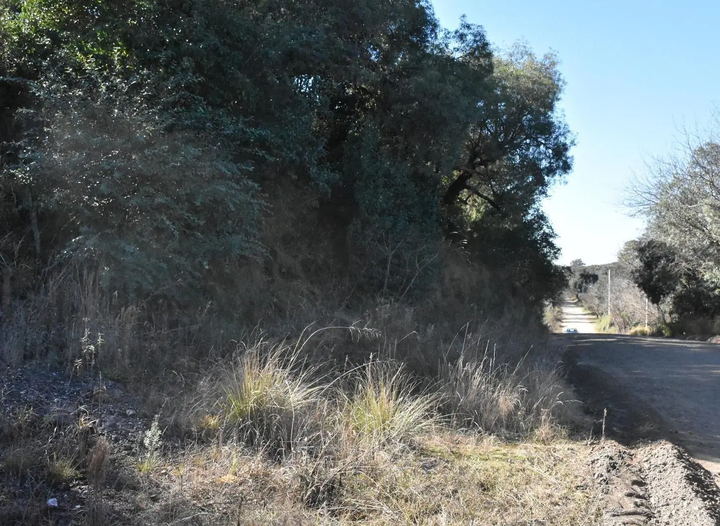 Lote esquina a la venta de 5000 metros en Los Molles, Sierras Chicas de Córdoba 3