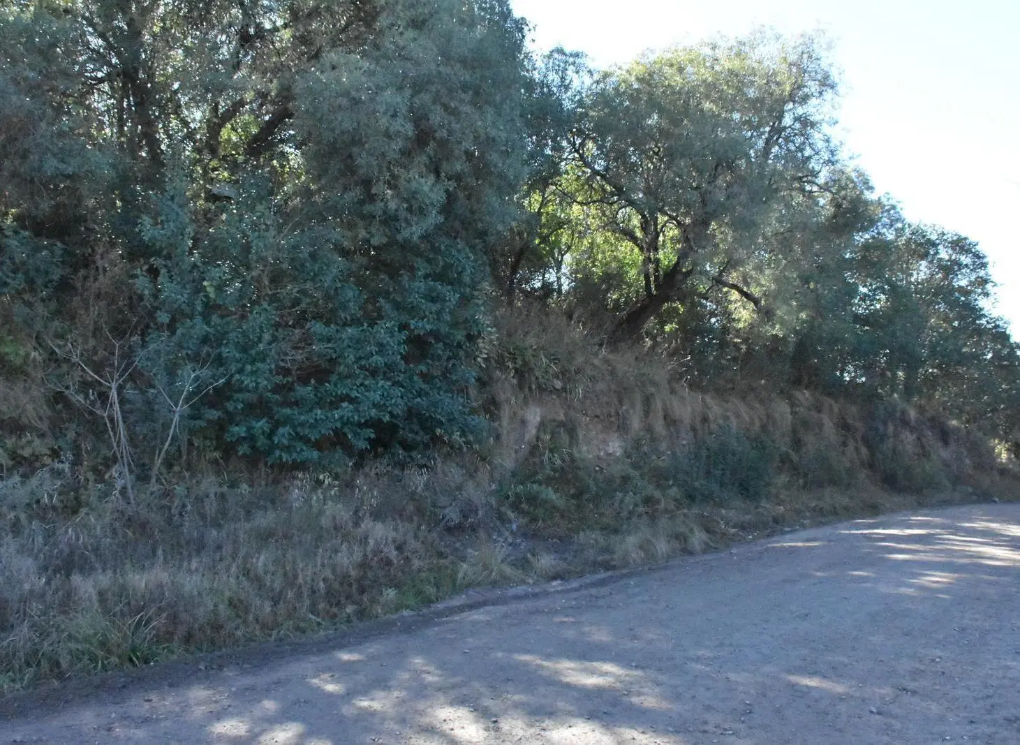 Lote esquina a la venta de 5000 metros en Los Molles, Sierras Chicas de Córdoba 5