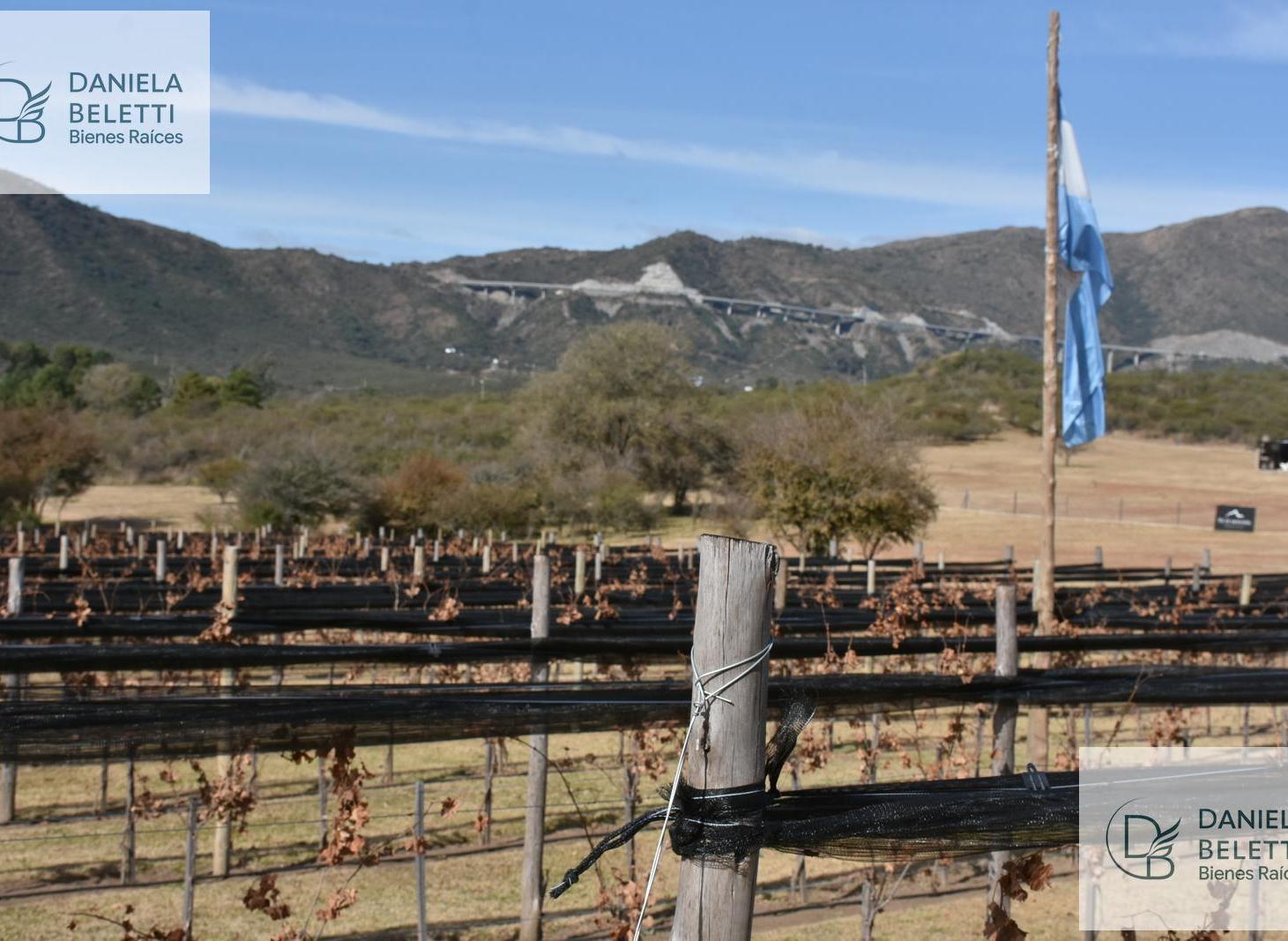 Foto de Exclusivo Barrio de chacras en San Antonio de Arredondo con Viñedo, imagen 1