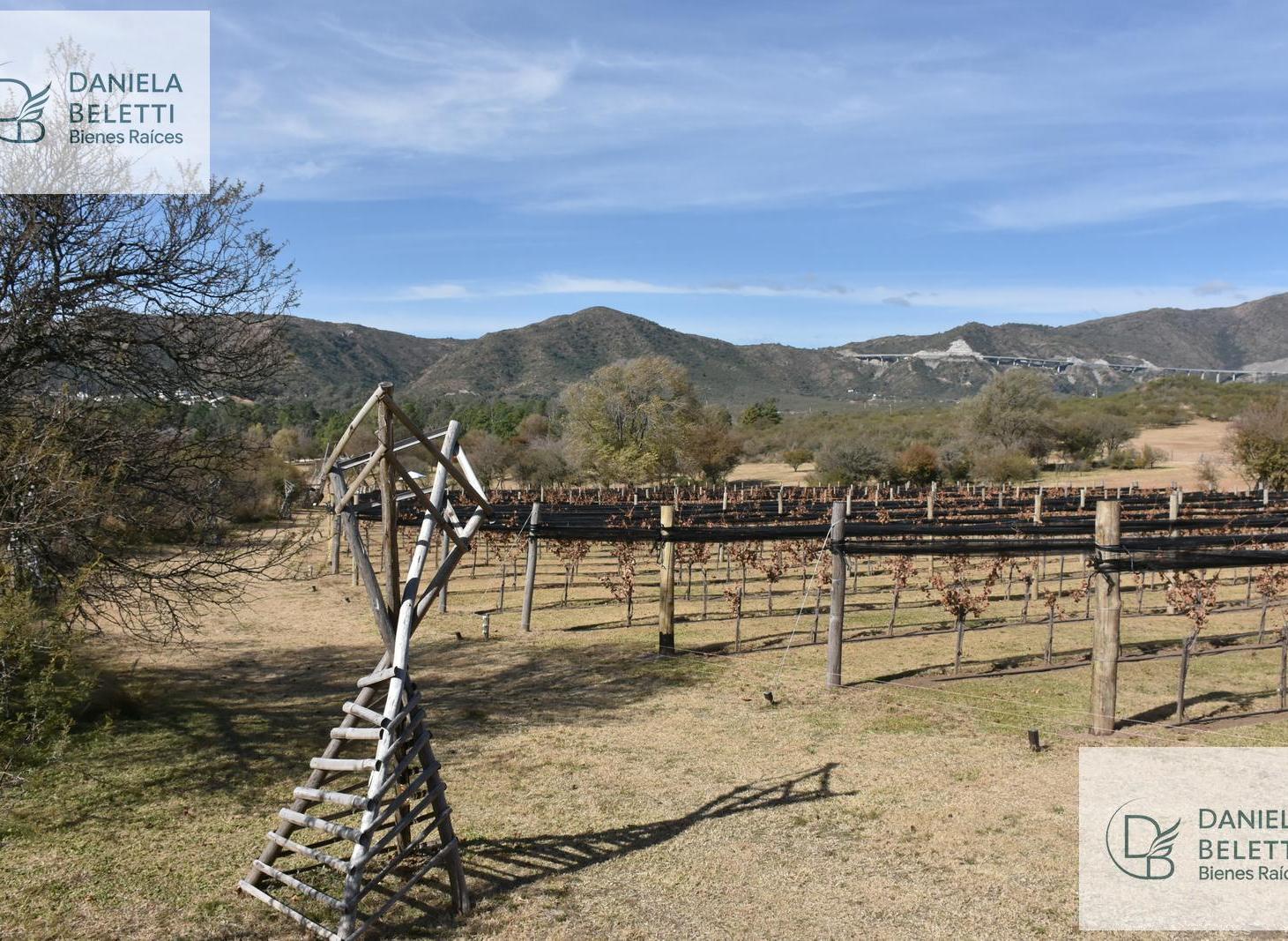 Foto de Exclusivo Barrio de chacras en San Antonio de Arredondo con Viñedo, imagen 2