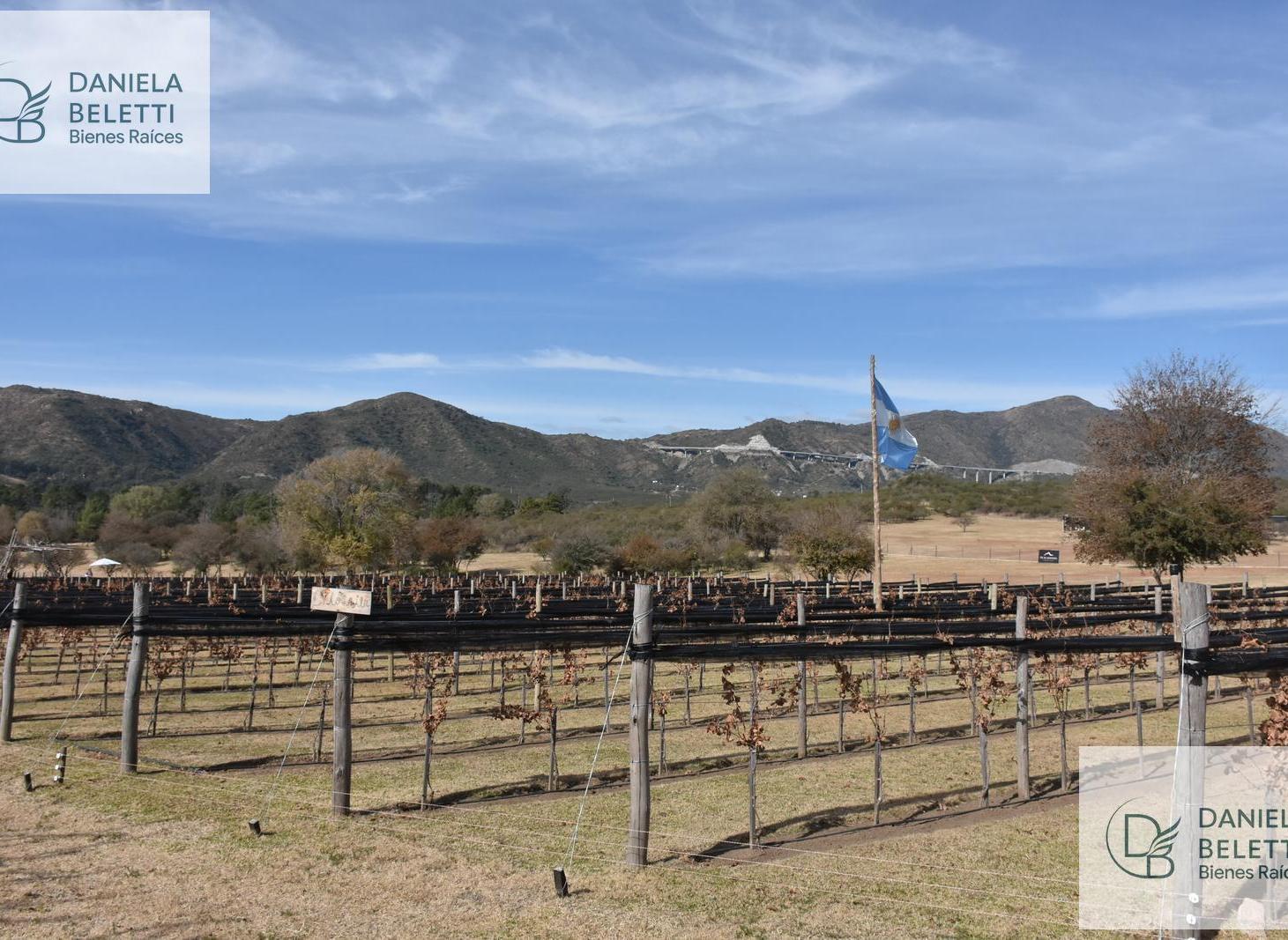 Foto de Exclusivo Barrio de chacras en San Antonio de Arredondo con Viñedo, imagen 3
