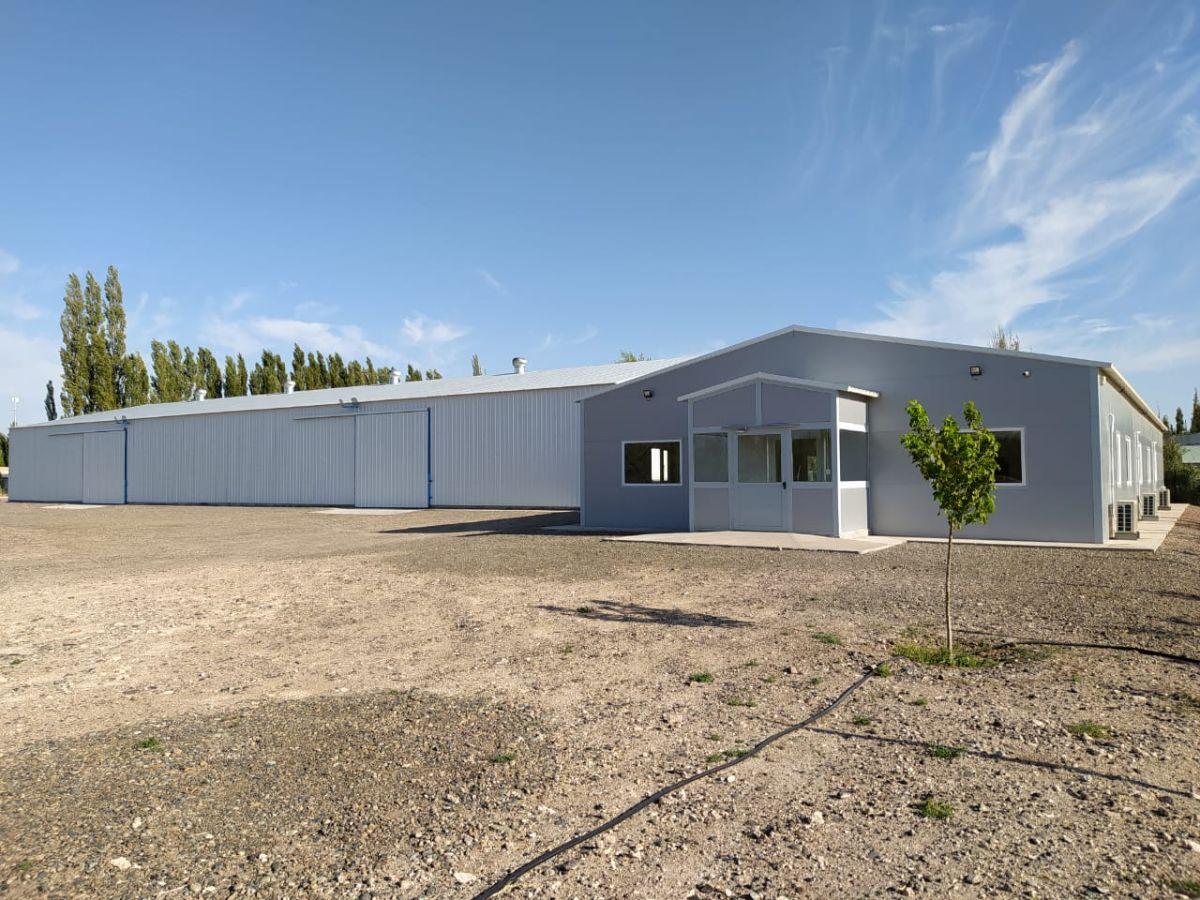 Galpon industrial de de 1000M2 con oficinas de 360m2, playa de maniobras de una Hectarea, Plottier.