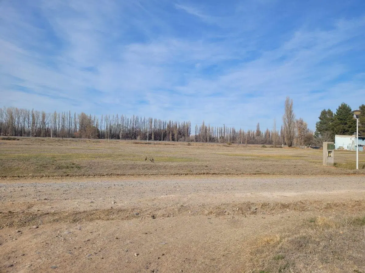 Terreno de 600 m2 en venta en Los Castaños, listos para escriturar. 1